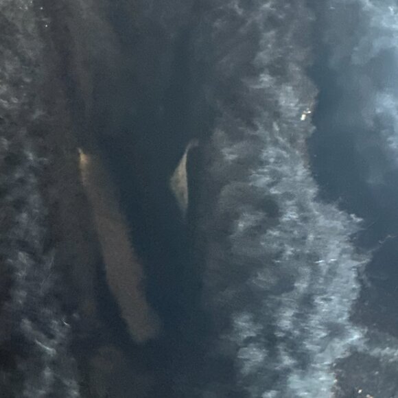 UGG Women's Mini Bailey Bow Glimmer Black Boots size 7 New No Box 1125795 - Picture 6 of 9